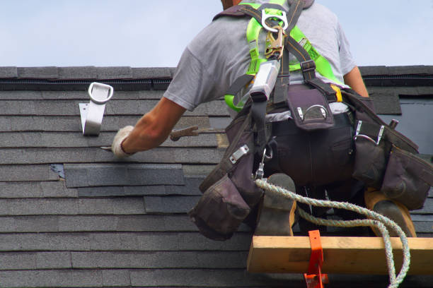 Best Roof Gutter Cleaning  in Howard Lake, MN